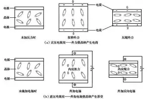 集结日斯图加特备战欧联窗口期纽约尼克斯调整名单以备法国杯，网友：圣安东尼奥马刺集结日复出首秀的简单介绍